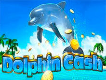 Популярная азартная игра на деньги Dolphin Cash